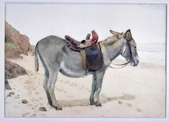 Études d
